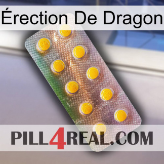 Érection De Dragon new11